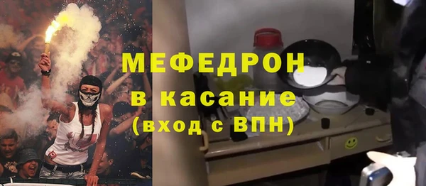 шишки Арсеньев