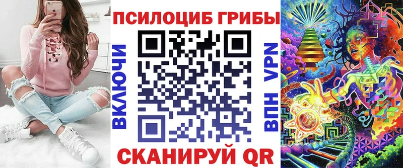 хочу наркоту  Ахтубинск  Галлюциногенные грибы Psilocybine cubensis 